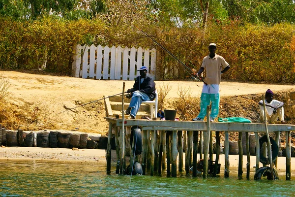 Senegal Afrika Marsch Circa 2016 Szene Des Bour Großen Fischmarktes — Stockfoto