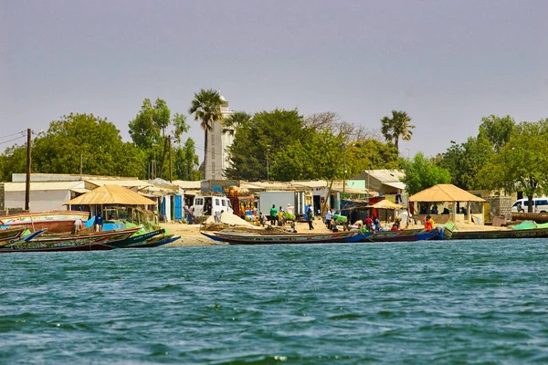 Senegal Africa Marsch Circa 2016 海滩上的M Bour大鱼市场场景 人们带着鱼等船 — 图库照片
