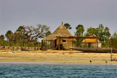 SENEGAL, AFRICA - MARSCH Circa, 2016. Sahildeki M 'Bour büyük balık pazarı manzarası. İnsanlar balıklı tekneyi bekliyor..