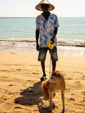 Bour, Senegal - Ocak CIRCA, 2022. Plajda şapkası olan kimliği belirsiz bir adamın maymununu evcil bir hayvan gibi dizginlediği sahne. Maymunlar, vahşi ya da evcil hayvanlar.