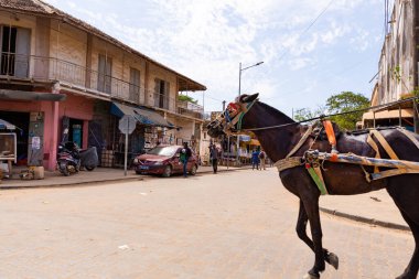 Bour, Senegal - Ocak CIRCA, 2022. Şehirlerde eşek ya da at arabasıyla yerel insan nakliyesi ve teslimat. Yerel geleneksel vagonda oturan Afrikalılar.