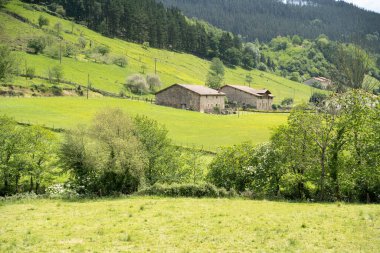 Kuzey İspanya 'nın Bask Bölgesi kırsal kesiminde bir ev.