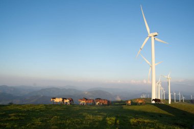 wind generators in the mountains of the Basque Country at sunset. High quality photo