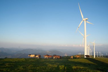 wind generators in the mountains of the Basque Country at sunset. High quality photo clipart