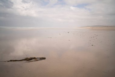 landscape view of the sea horizon in a beach of Galicia, Spain. High quality photo