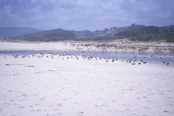 sea landscape in a beach of Galicia, Spain. High quality photo