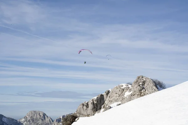 paragliders gliding over the mountains in winter at sunset. High quality photo