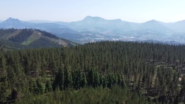 Luftaufnahme Der Berge Und Grünen Wälder Des Baskenlandes Nordspanien Hochwertiges — Stockvideo