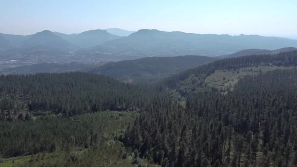 Повітряний Вид Гори Зелений Ліс Країни Басків Півночі Іспанії Кадри — стокове відео