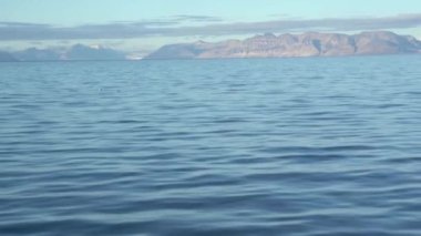 Norveç 'in Svalbard Adaları kıyısındaki Arktik Okyanusu' nun deniz manzarası. Yüksek kalite 4k görüntü