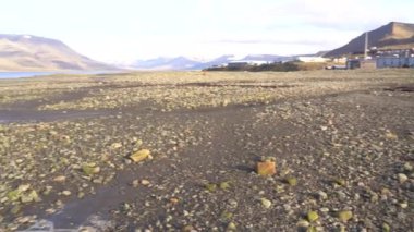 Norveç 'in Svalbard Adaları' ndaki Longyearbyen sahilindeki dalgalar. Yüksek kalite 4k görüntü