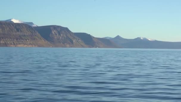 Havsutsikt Över Det Arktiska Havet Vid Kusten Svalbard Islands Norge — Stockvideo