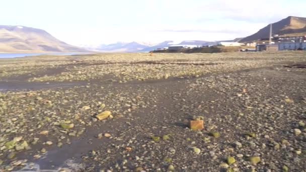 Fale Plaży Wybrzeżu Longyearbyen Svalbard Islands Norwegia Wysokiej Jakości Materiał — Wideo stockowe