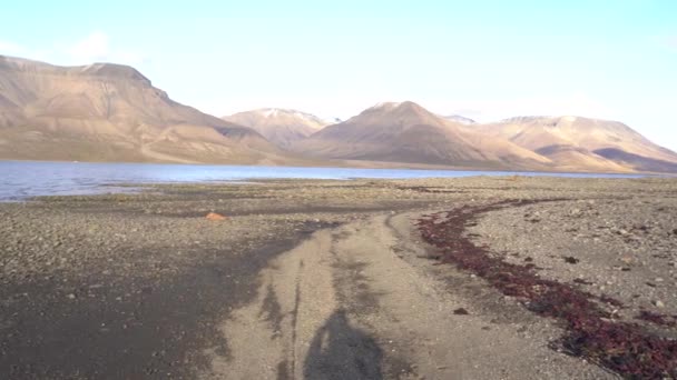 Golven Het Strand Aan Kust Van Longyearbyen Spitsbergen Noorwegen Hoge — Stockvideo