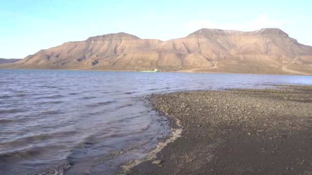 Fale Plaży Wybrzeżu Longyearbyen Svalbard Islands Norwegia Wysokiej Jakości Materiał — Wideo stockowe