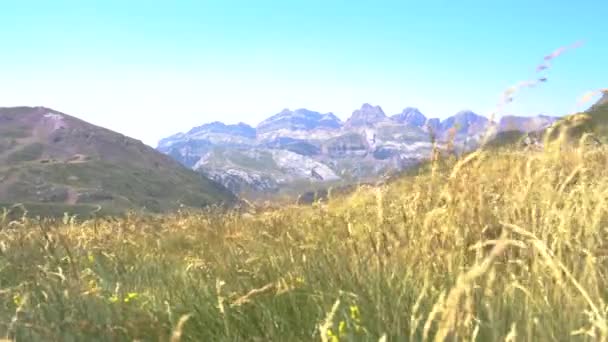 Vue Panoramique Sur Les Pyrénées Espagnoles Par Une Journée Venteuse — Video