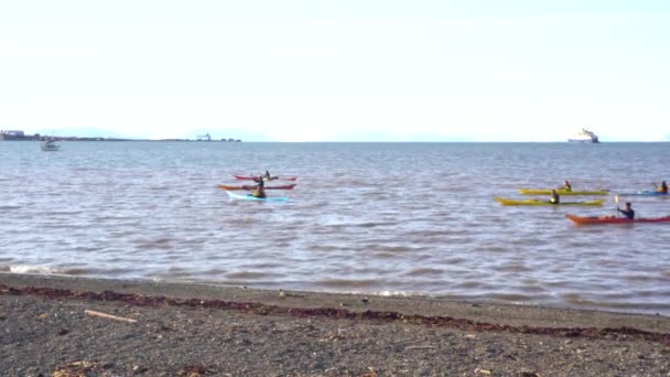 People Kayaking Sea Coast Longyearbyen Svalbard Islands Norway High Quality — Stock Video