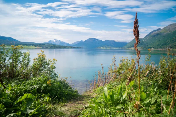 Norveç 'in Lofoten adalarındaki fiords ve dağların manzara manzarası. Yüksek kalite fotoğraf