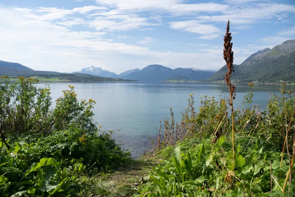 Blick Auf Die Fjorde Auf Den Lofoten Norwegen Einem Bewölkten — Stockfoto