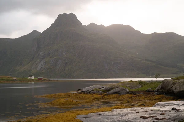 Berglandschaft Den Fjorden Der Lofoten Inseln Einem Nebligen Tag Norwegen — Stockfoto