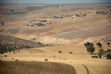 Manzara Yazı Fas 2021