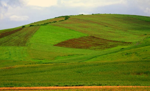 Paisagem Verde Marrocos Aldeia Norte — Fotografia de Stock