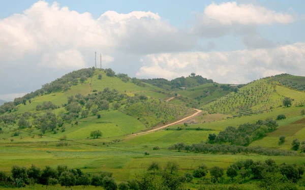 Zelená Krajina Fotografie Maroko — Stock fotografie
