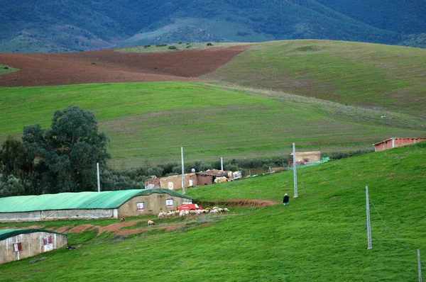 Atlas Aldeia Marrocos País Vida Tamazight — Fotografia de Stock