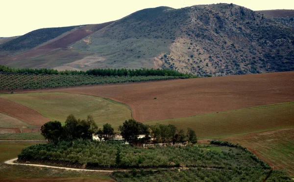 Paisaje Fotografias Marruecos Fotos — Foto de Stock