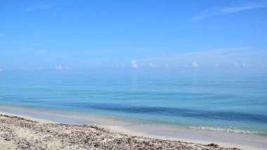 Tropik bir sahilde sakin bir okyanus suyu