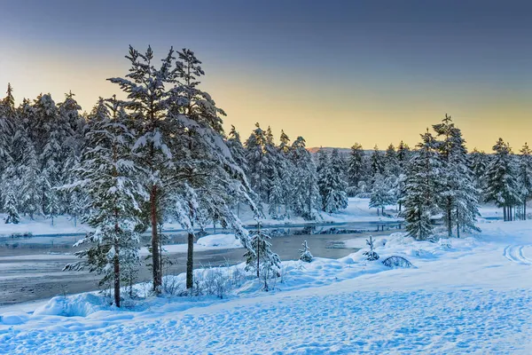 Pôr do sol de inverno pelo rio congelado com neve coberta de floresta e reflexão do sol na água. Noruega, Europa. — Fotografia de Stock