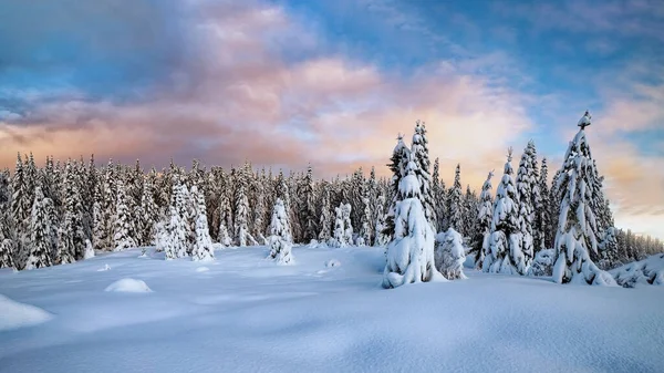 Pôr do sol colorido sobre a paisagem de inverno com floresta coberta de neve . — Fotografia de Stock