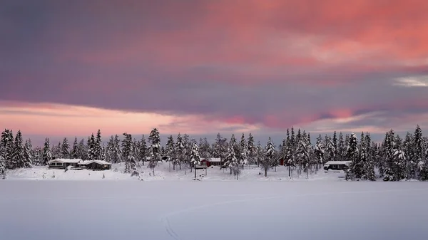 Pôr do sol colorido sobre a paisagem de inverno com floresta coberta de neve . — Fotografia de Stock