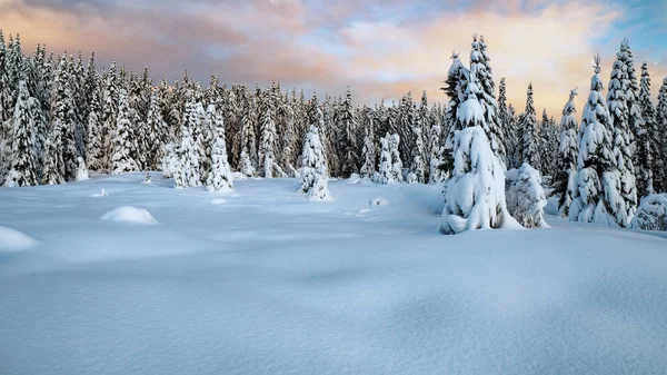 Pôr do sol colorido sobre a paisagem de inverno com floresta coberta de neve . — Fotografia de Stock