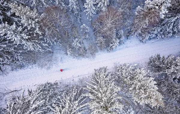 Aerial top view of snow covered forest with winter road and man in red jacket. Drone photography landscape. — Fotografia de Stock