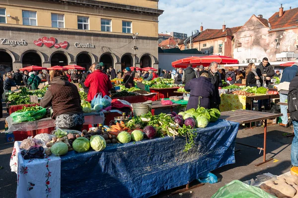 Zagreb Hırvat ve Dolac 'ın ünlü pazarında yerel hanımlar organik lahana havuçları ve diğer taze tarım ürünleri satıyorlar.