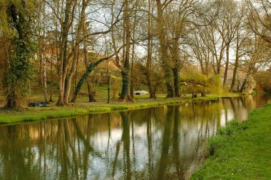 Sonbaharda eski sarmaşık kaplı ağaçlar küçük yaya köprüsü ile suya yansıyor.
