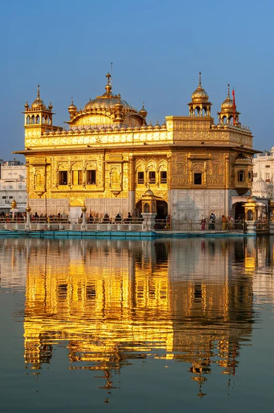 Altın Tapınak, Harmandir Sahib, Amritsar, Punjab, Hindistan 'da bulunan havuza yansıyor. Sih dini için en kutsal yer.. 