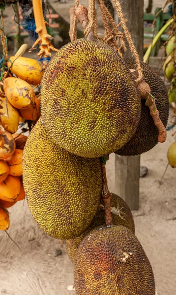 Sri Lanka yol kenarı büfesi tüm Jackfruit satıyor.