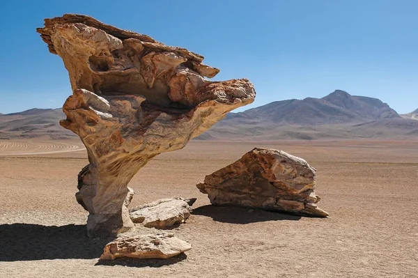 Famous and surreal stone tree (Arbol de Piedra) rock formation in the Atacama desert in Northern Chile. 