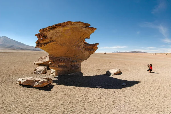 Famous and unusual rock tree (Arbol de Piedra) with photographer in Atacama desert of Norther Chile, near Uyuni salt flat
