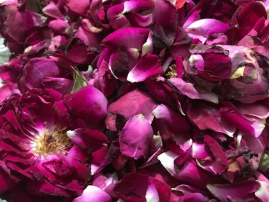 Pembe gül yaprakları yere yayıldı