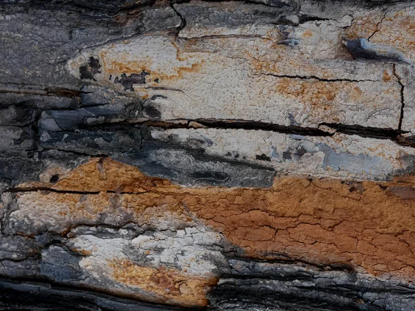 Grunge Tmavé Texturované Dřevěné Pozadí Povrch Staré Hnědé Dřevo Textury — Stock fotografie
