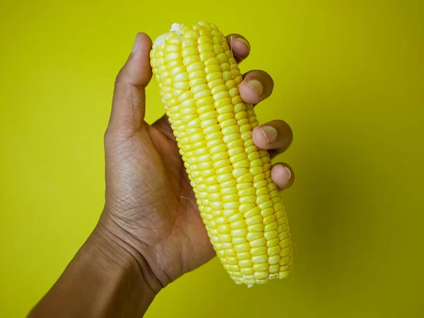 Man Hand Håller Majs För Hälsosam Mat Koncept Isolerad Gul — Stockfoto