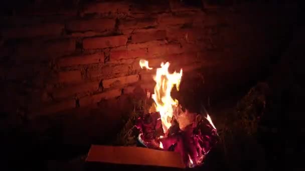 Ateş Geceleri Çöpleri Yakıyor — Stok video