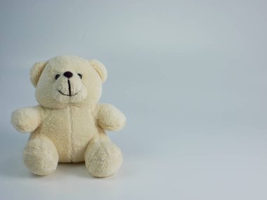 Beyaz bir arka planda izole edilmiş beyaz oyuncak ayı. kopyalama alanı metin eklemeye hazır