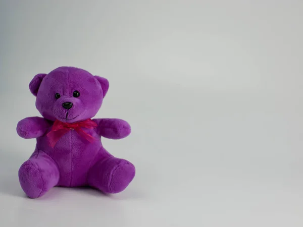 Фиолетовый Плюшевый Медведь Выделен Белом Фоне Пространство Копирования Готово Добавления — стоковое фото