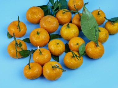 Yaprakları mavi arka planda izole edilmiş turuncu ya da turunçgiller. sağlıklı meyve