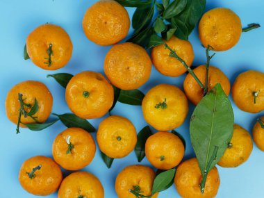 Yaprakları mavi arka planda izole edilmiş turuncu ya da turunçgiller. sağlıklı meyve