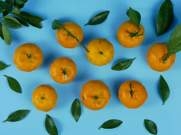 Yaprakları mavi arka planda izole edilmiş turuncu ya da turunçgiller. sağlıklı meyve